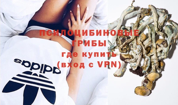 экстази Вяземский