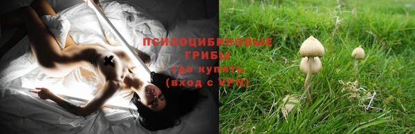 mdpv Верея