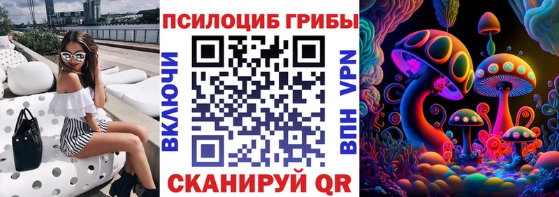 Галлюциногенные грибы Psilocybe  цены наркотик  Инза 